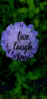 Purple flower with 'live laugh love' quote on green background.