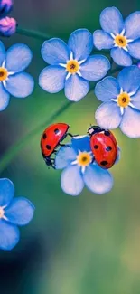 Ladybugs resting on vibrant blue flowers, creating a serene mobile wallpaper.