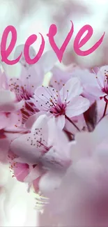 Pink blossoms with 'love' text on a mobile wallpaper.