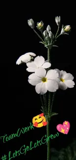 White flowers on a black background with motivational text.