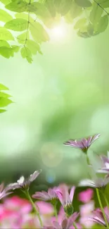 Floral wallpaper with violet flowers and green leaves in a sunlit nature scene.