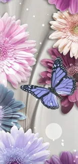 Pastel gerbera daisies and purple butterfly wallpaper.