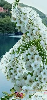 Floral peacock artwork with a scenic lakeside background.