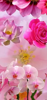 Vibrant pink flower wallpaper with assorted blooms.