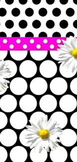 Floral polka dot wallpaper with daisies and pink accents.