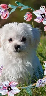 Cute puppy framed by floral wreath in grassy field