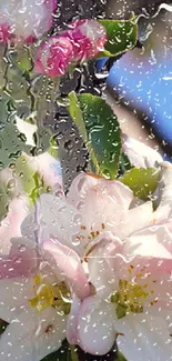 Pink and white flowers with raindrops against a blue sky background.