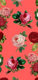 Colorful vintage rose wallpaper with a coral background.