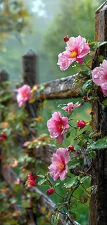 Pink flowers climbing a rustic fence in nature.