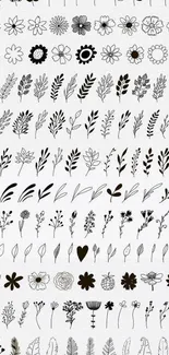 Minimalist floral sketch wallpaper with black and white botanical patterns.