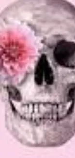 Wallpaper of a floral skull on pink background with a pink flower accent.