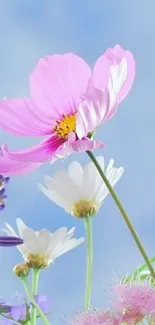 Colorful flowers under a blue sky wallpaper.