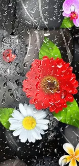 Mobile wallpaper with colorful flowers on black stones.