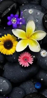 Floral stones wallpaper with colorful flowers on black pebbles.