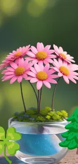 Mobile wallpaper featuring pink daisies in a vase with green background.