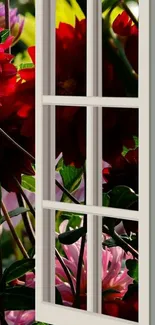 Mobile wallpaper with a floral view through a window featuring vibrant colors.