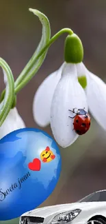 Snowdrop flower with ladybug and car.