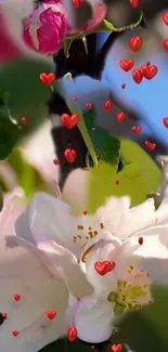 White flowers with red hearts on a branch, perfect for mobile wallpaper.