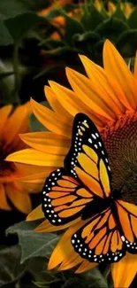 Flower Butterfly Pollinator Live Wallpaper