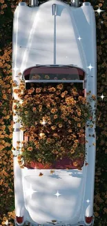 Classic car with flowers on green background.