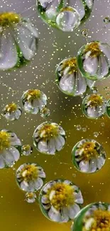 Flower reflections in water droplets on a blurred green background.