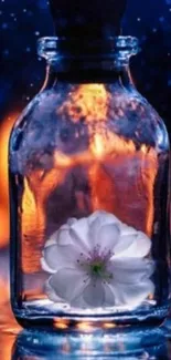Flower inside glass bottle with vibrant lights and reflections.
