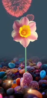 Flower Light Petal Live Wallpaper