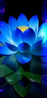 Flower Lotus Plant Live Wallpaper