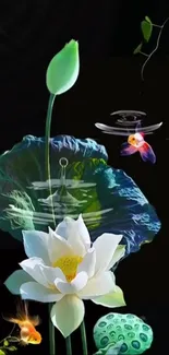 Flower Lotus Water Live Wallpaper