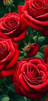 Flower Petal Garden Roses Live Wallpaper