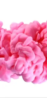 Flower Petal Gesture Live Wallpaper