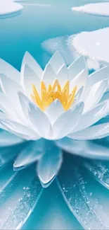 Flower Petal Lotus Live Wallpaper