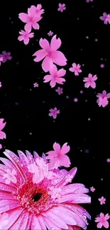 Flower Petal Pink Live Wallpaper