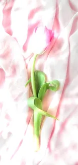 Flower Petal Pink Live Wallpaper