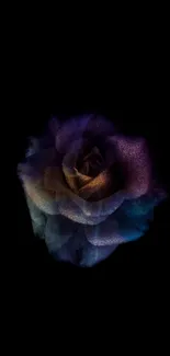 Elegant dark rose with textured petals on a black background.