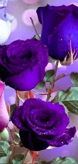 Flower Photograph Purple Live Wallpaper