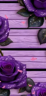 Flower Photograph Purple Live Wallpaper