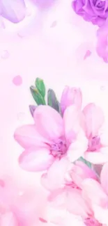 Flower Plant Bloom Live Wallpaper