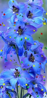 Flower Plant Blue Live Wallpaper