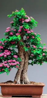 Flower Plant Branch Live Wallpaper