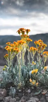 Flower Plant Cloud Live Wallpaper