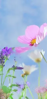 Flower Plant Cloud Live Wallpaper