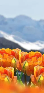 Flower Plant Grass Live Wallpaper