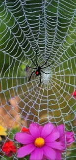 Mobile wallpaper featuring spider web with vibrant flowers and black spider.