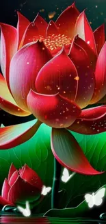 Flower Plant Light Live Wallpaper