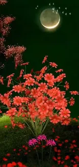 Flower Plant Light Live Wallpaper