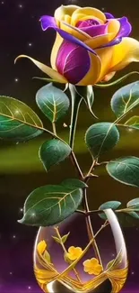 Flower Plant Light Live Wallpaper