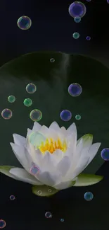 Flower Plant Liquid Live Wallpaper