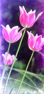 Flower Plant Lotus Live Wallpaper