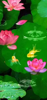 Flower Plant Lotus Live Wallpaper